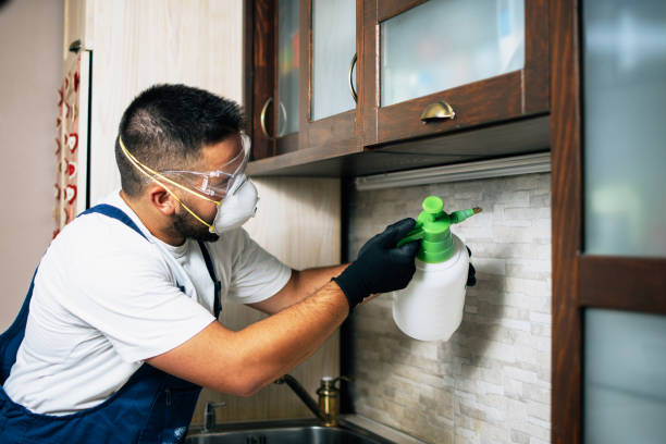 Best Pest Inspection Near Me  in Rockton, IL