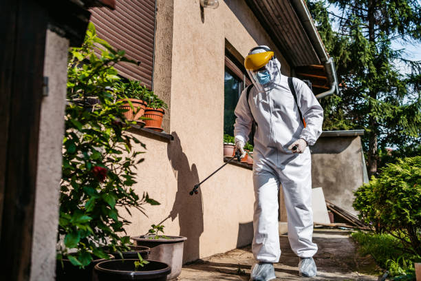 Best Rat Extermination Near Me  in Rockton, IL