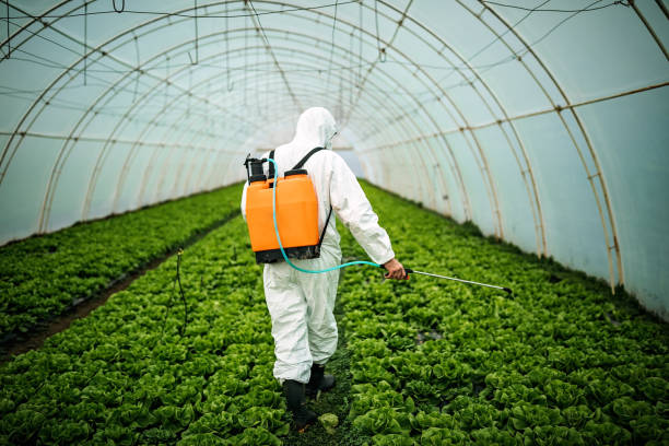 Best Mosquito Control Services  in Rockton, IL