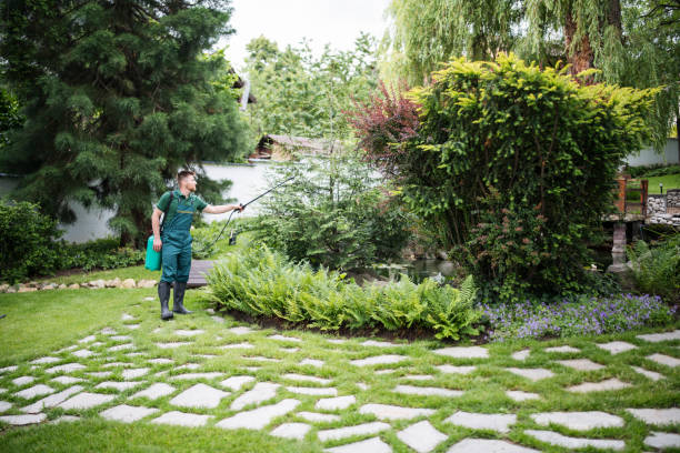 Best Wildlife Control Services  in Rockton, IL