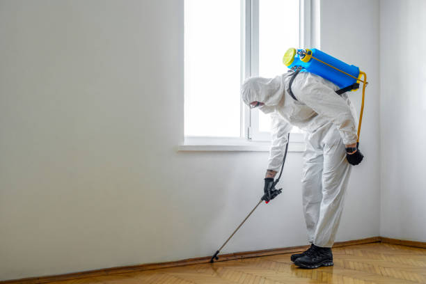 Best Pest Removal Services  in Rockton, IL
