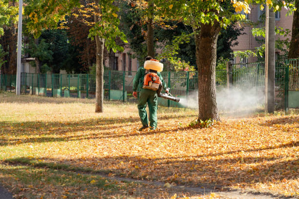 Best Insect Control  in Rockton, IL