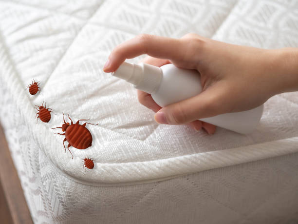 Best Commercial Pest Control Services  in Rockton, IL