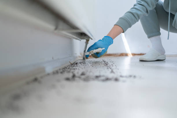 Best Pest Prevention Services  in Rockton, IL